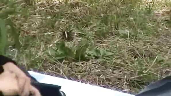 Plešasti trener na različne načine prevladuje nad ukrivljenimi rjavolaskami